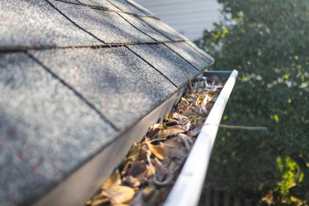 leaf buildup in fall in roof and gutters leaf buildup in fall in roof and gutters