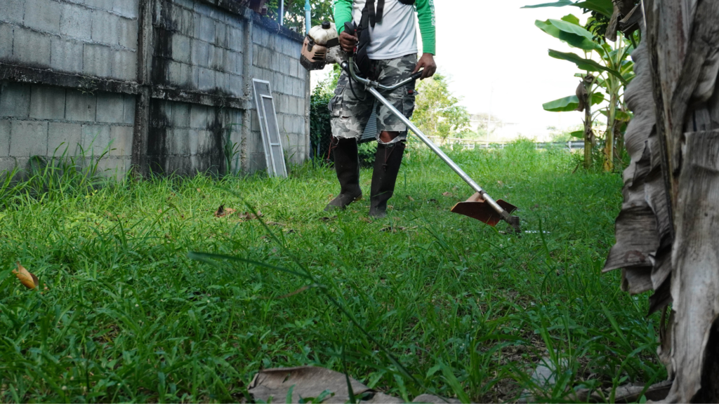 garden maintenance Wicklow garden maintenance Wicklow