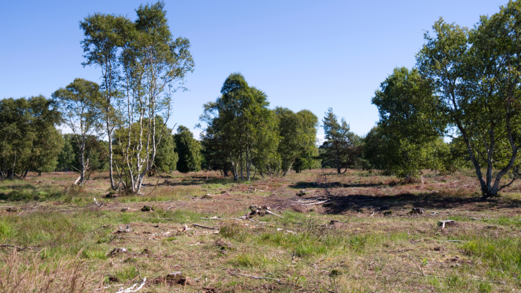 additional gardening services additional gardening services