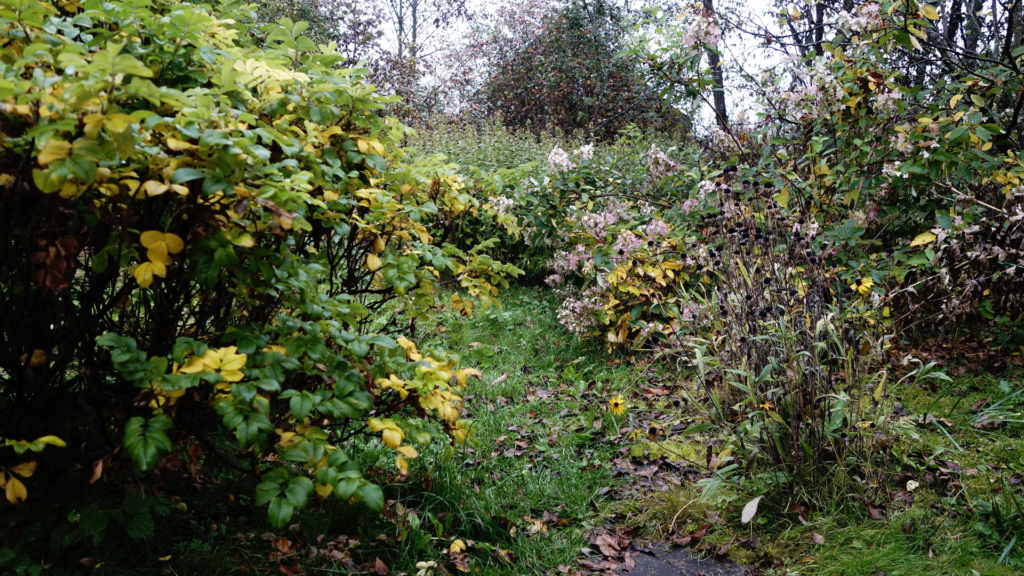 additional gardening services additional gardening services