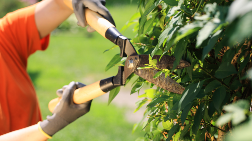 additional gardening services additional gardening services